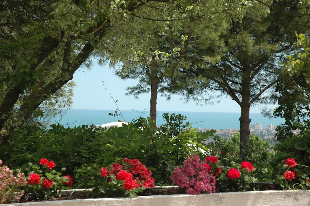 Colle Moro - B&B Villa Maria Citta Sant'Angelo Ngoại thất bức ảnh